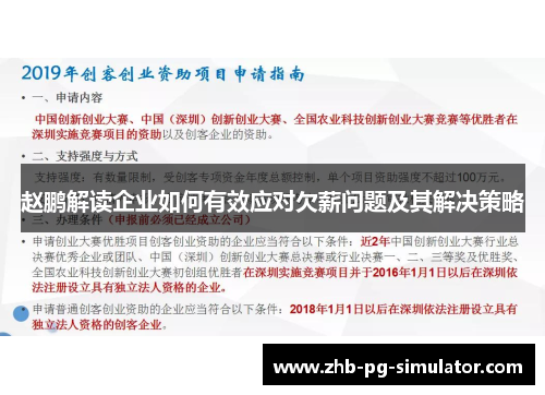 赵鹏解读企业如何有效应对欠薪问题及其解决策略 赵鹏解读企业如何有效应对欠薪问题及其解决策略