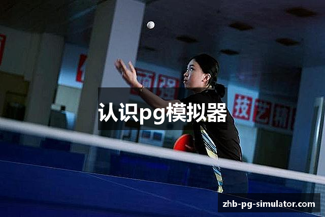 认识pg模拟器